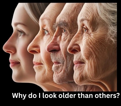 The Fountain Within: How Science Unravels the Secrets of Slowing Ageing Time