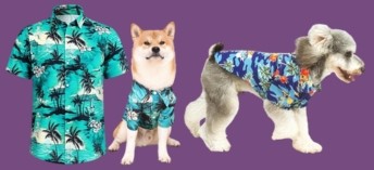 Tropical Tails: A Stylish Dive into the World of Dog Fashionable Hawaiian Shirts