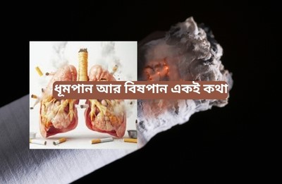 সার্কভুক্ত দেশে কারা বেশি সিগারেট টানে আর কত কম মানে!