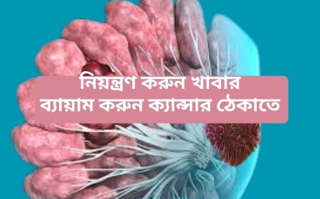 দেহের নীরব রক্ষী: ক্যান্সারের বিরুদ্ধে শরীর কীভাবে প্রতিরক্ষা বুহ্য তৈরি করে?