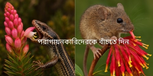 পরাগায়নের জগতে পশমযুক্ত ও আঁশযুক্ত ছোট প্রাণীর ভুমিকা