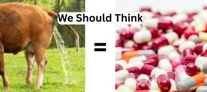 Cow The Living Laboratory: Unlocking the Biochemical Secrets of Nature’s Golden Medicine