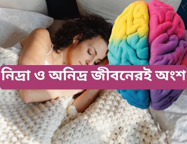 আমরা কেন ঘুমাই এবং কেমন করে জেগে ওঠি: স্নায়ুবিক জিয়নকাঠি