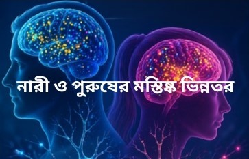 নারী ও পুরুষর মস্তিষ্কের জিনোমিক নকশা এবং নির্ভুল চিকিৎসা ব্যবস্থা
