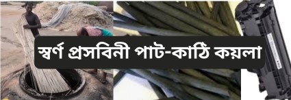 পাট কাঠির সক্রিয় কয়লা: পরিবেশ বান্ধব এক উচ্চ-শক্তির উৎস