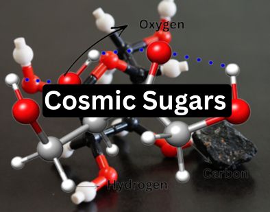 The cosmic sugars: Food for space travellers
