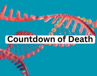The Countdown of Death: How Gene-Activity Clocks Predict Our Biological Age