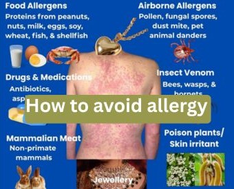 The Allergy Paradox: When the Body's Defense Becomes the Offense