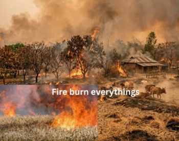 Drought, Heat, and Wildfires Are Reshaping Global Food Security