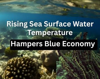 Ecological and Economic Impacts of Rising Sea Surface Temperatures